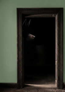 The Entity in the Kitchen and the Guardian on the Stairs